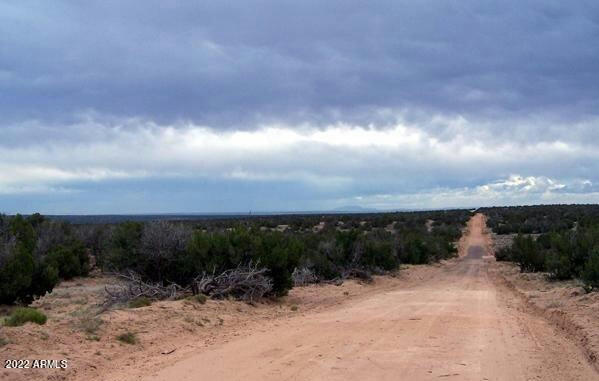 10 COUNTY RD N7237, ST JOHNS, AZ 85936, photo 4 of 5