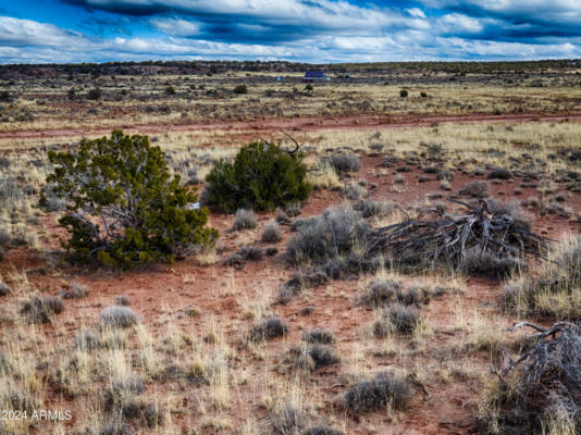 4060 JORDAN RD, SNOWFLAKE, AZ 85937, photo 3 of 7