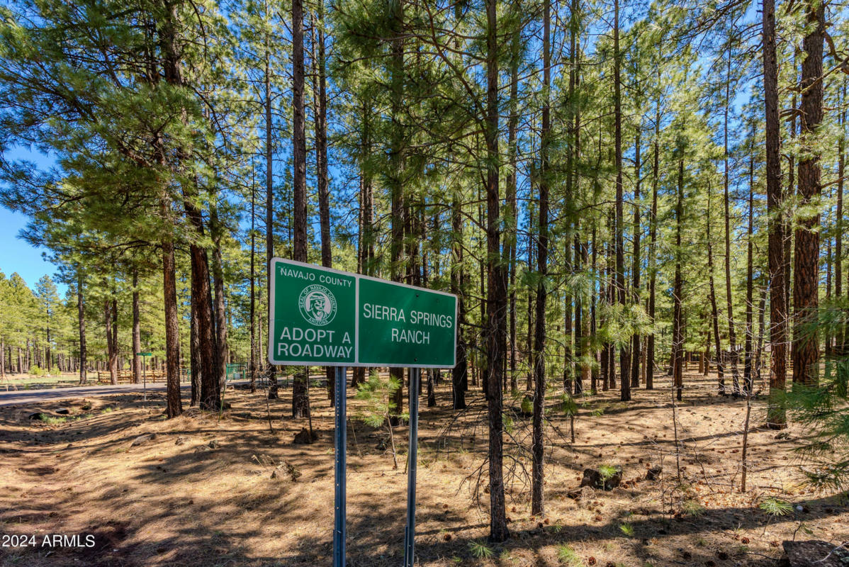 4583 SKY HI RD, PINETOP, AZ 85935, photo 1 of 30