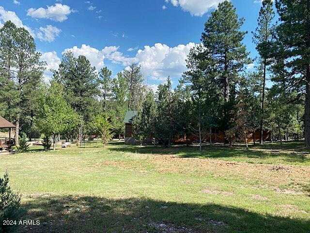 157 LOT # N WILD CAT CIRCLE # 157, PAYSON, AZ 85541, photo 1 of 9