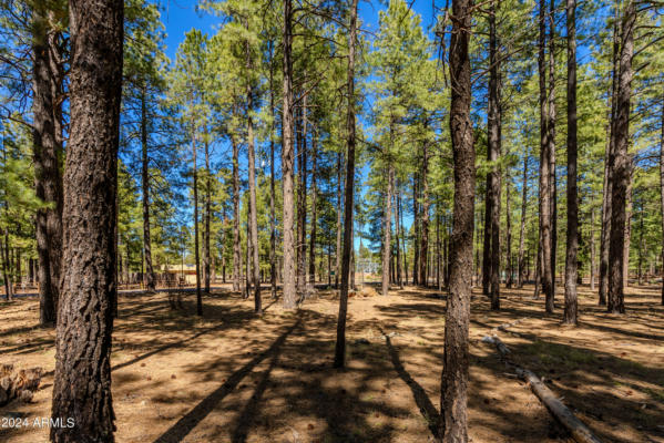 4583 SKY HI RD, PINETOP, AZ 85935, photo 2 of 30