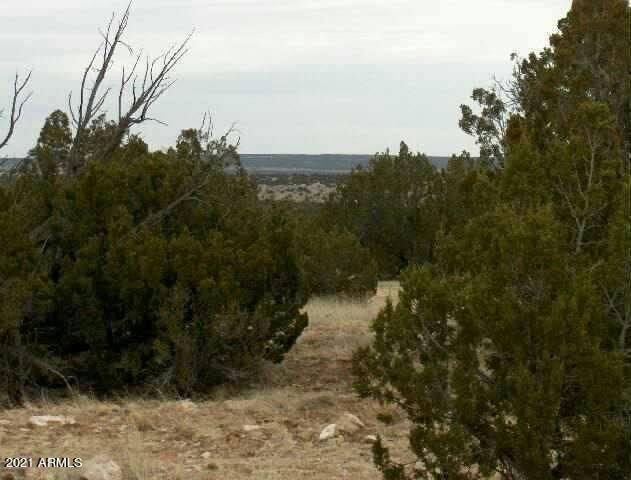 LOT 302 CHEVELON CANYON RANCH # 302, HEBER, AZ 85928, photo 1