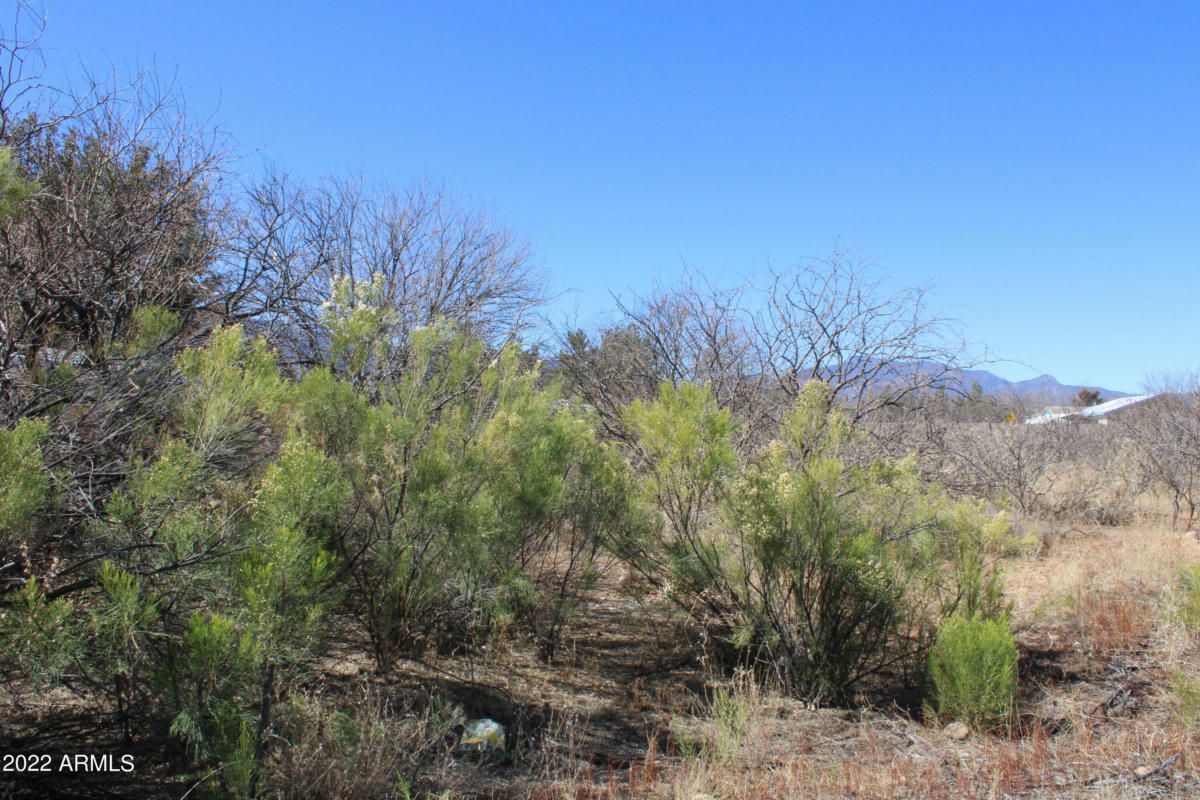 0000 CLOUD DANCE COURT # 33, SIERRA VISTA, AZ 85650, photo 1 of 18