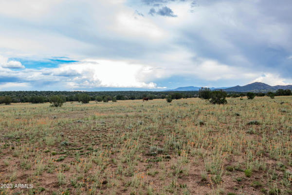 10 ACRES W DEEP WATER ROAD # 11, PAULDEN, AZ 86334, photo 2 of 15