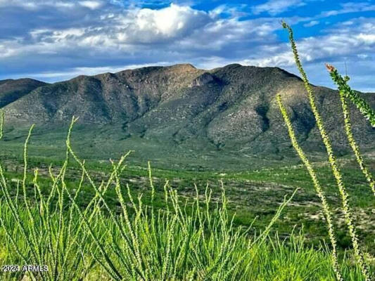 TBD 173 ACRES NEAR BISBEE, BISBEE, AZ 85603 - Image 1