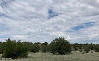 110 N JUNIPERWOOD RANCH LOT 110 ROAD NW # 110, ASH FORK, AZ 86320, photo 1