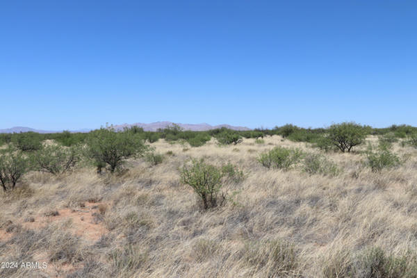 LOT 10 E DE VACA CIRCLE # LOT 10, SAINT DAVID, AZ 85630 - Image 1