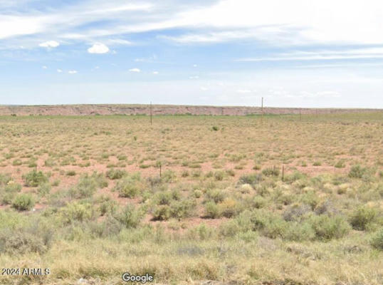 10XX- E UNNAMED ROAD, SANDERS, AZ 86512 - Image 1