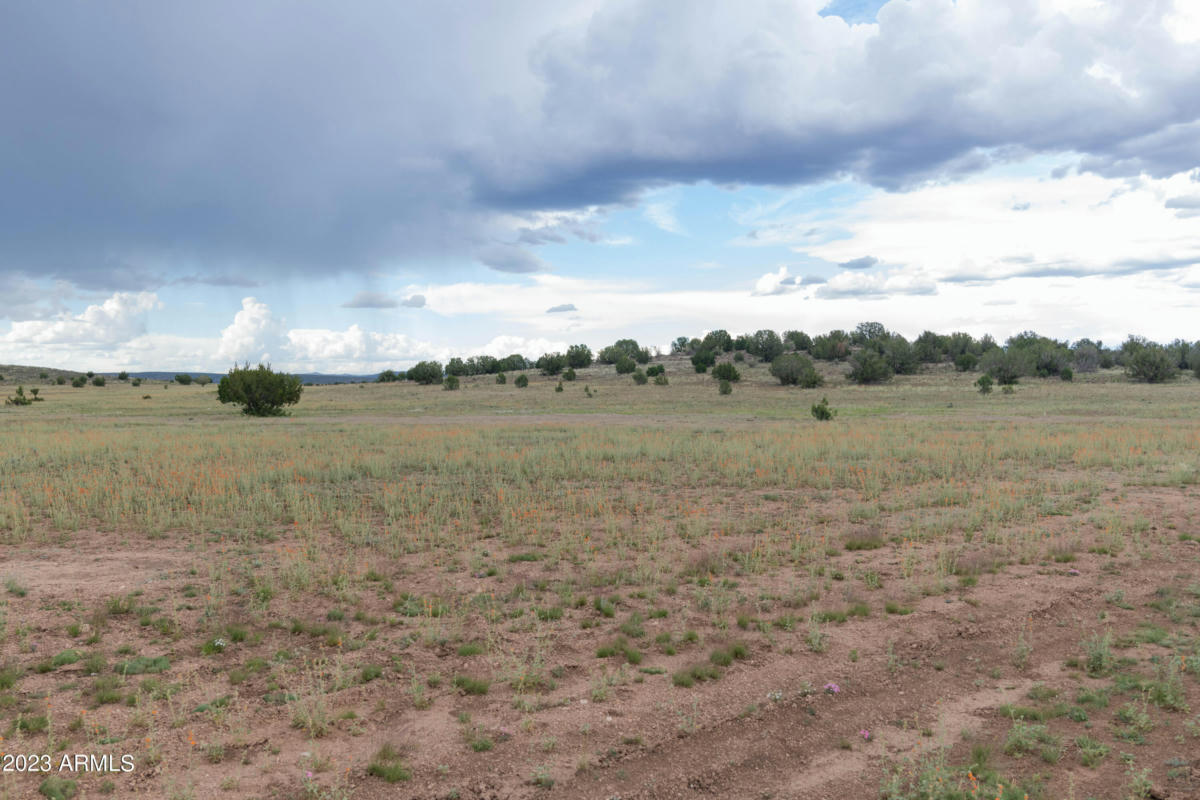 10 ACRES W DEEP WATER ROAD # 11, PAULDEN, AZ 86334, photo 1 of 15