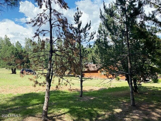 157 LOT # N WILD CAT CIRCLE # 157, PAYSON, AZ 85541, photo 4 of 9