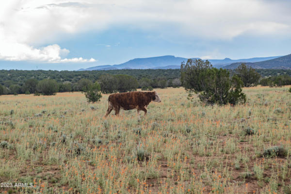 10 ACRES W DEEP WATER ROAD # 11, PAULDEN, AZ 86334, photo 5 of 15