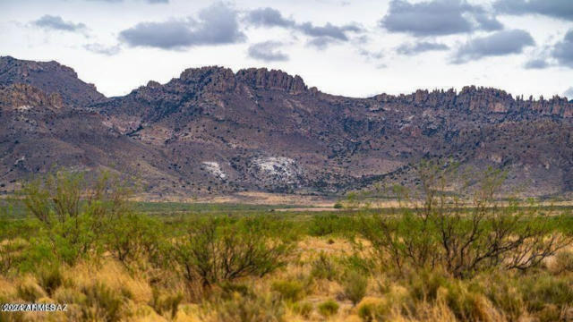 THREE TRIANGLES RANCH 41 ACRES # 37, PORTAL, AZ 85632 - Image 1